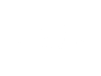 city executive (1)